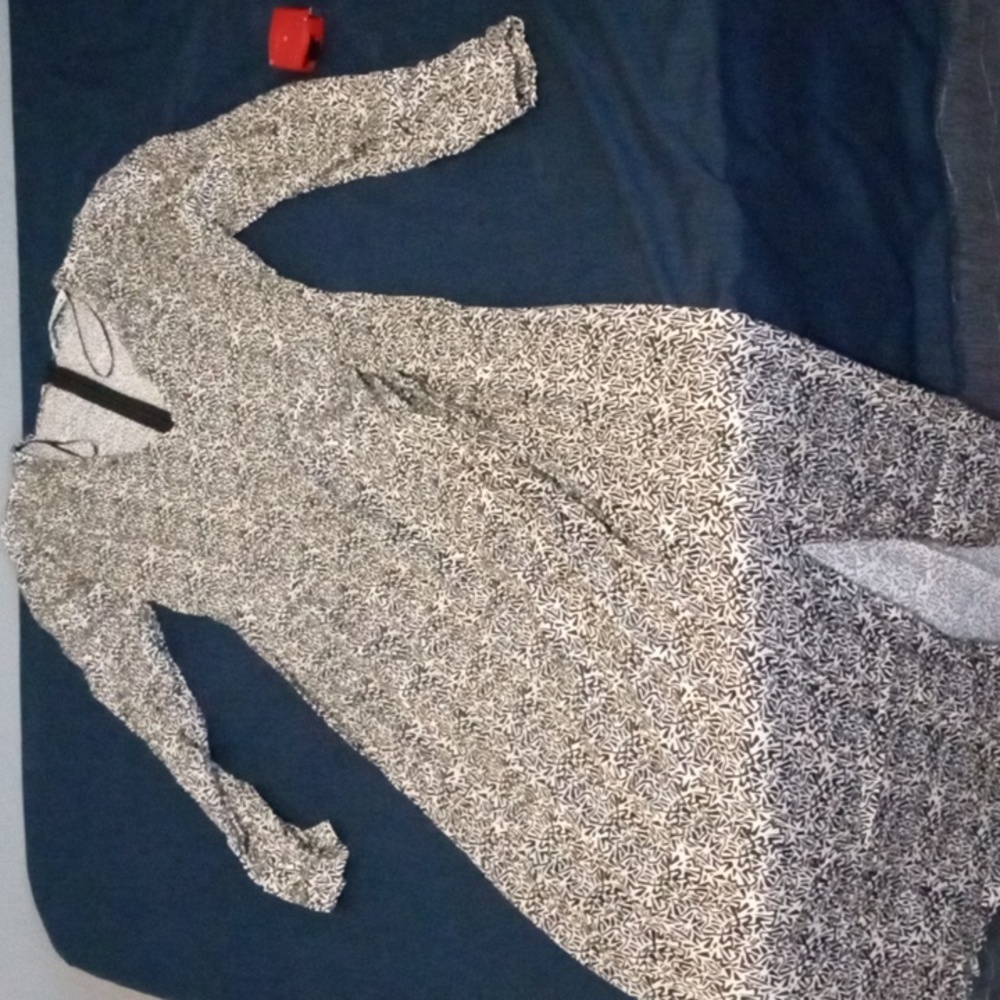 Zara Dress